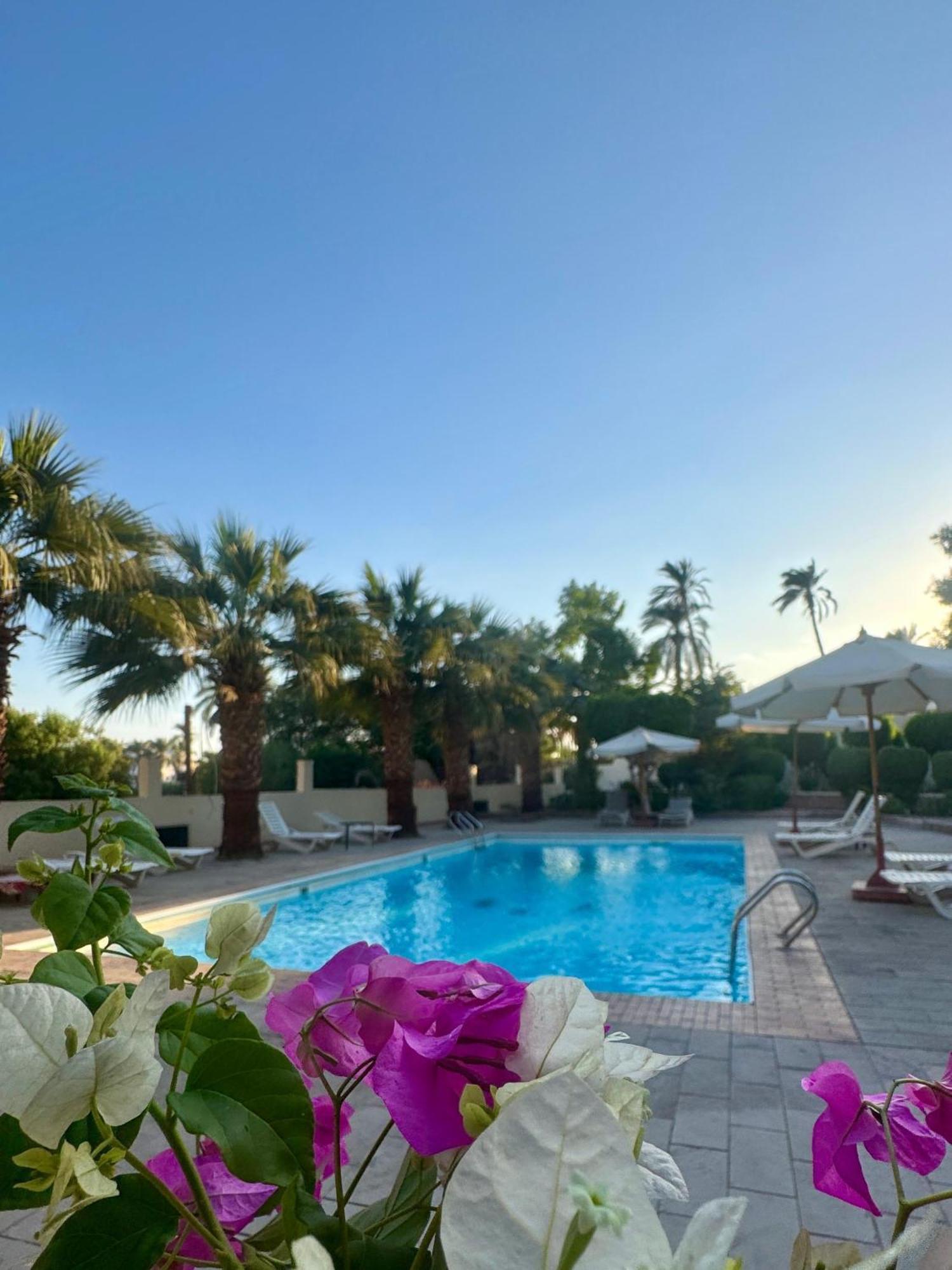 Hotel Sheherazade Louxor Extérieur photo