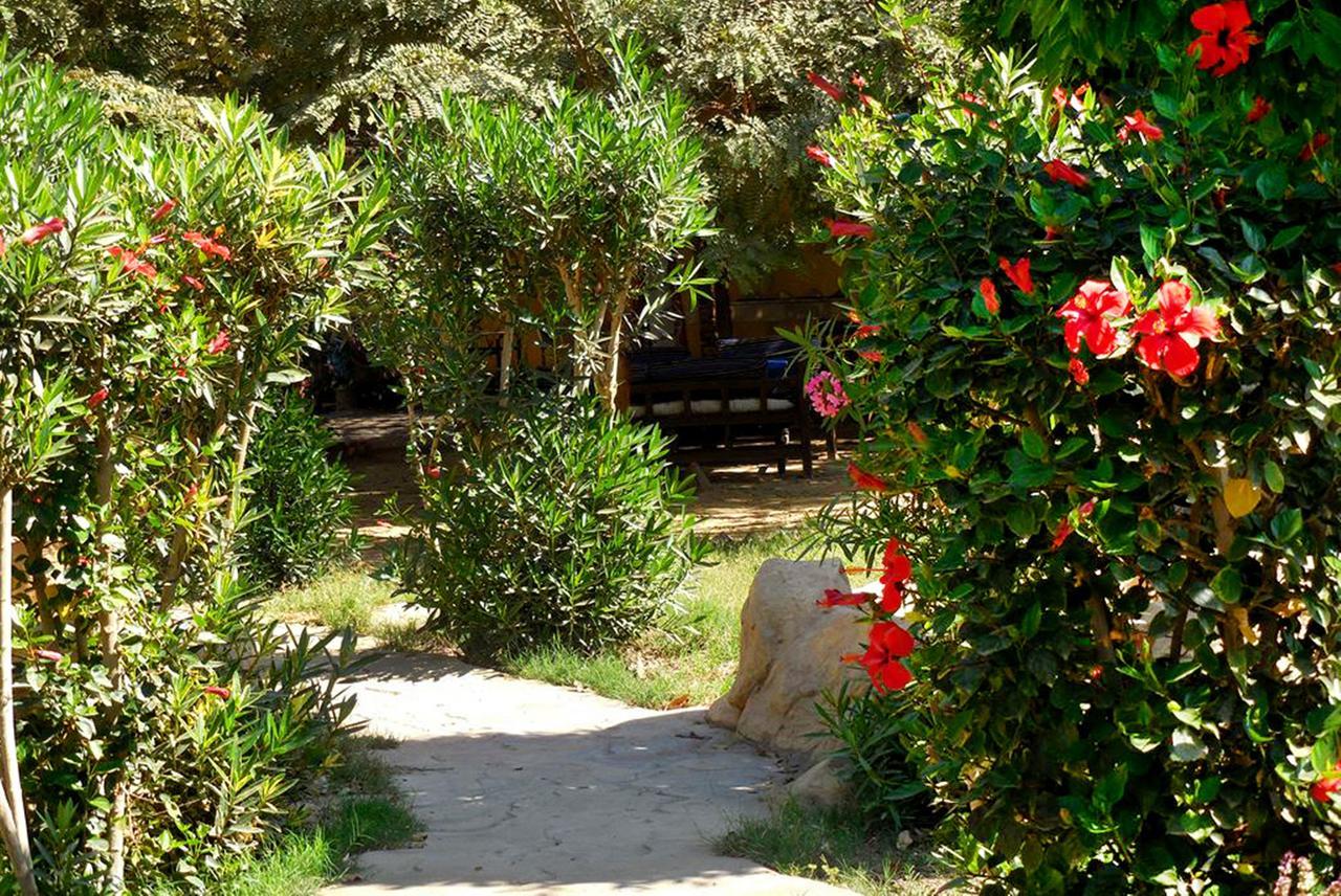 Hotel Sheherazade Louxor Extérieur photo